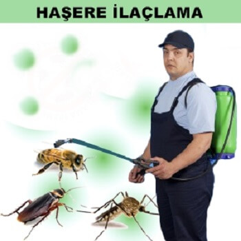 Şenpazar Böcek İlaçlama